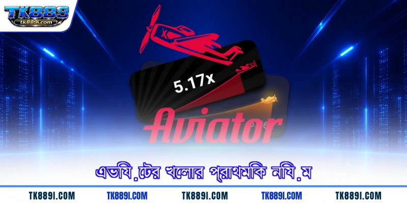 এভিয়েটর খেলার প্রাথমিক নিয়ম